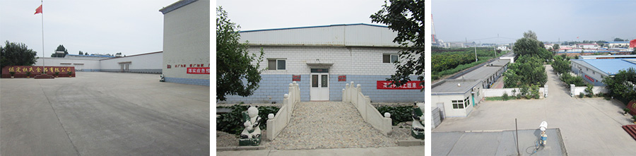 Shijiazhuang Senzhuo Food Trading Co., Ltd.